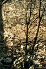 es-grenada-shadowslight2.jpg