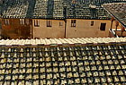 it-siena-rooftops.jpg