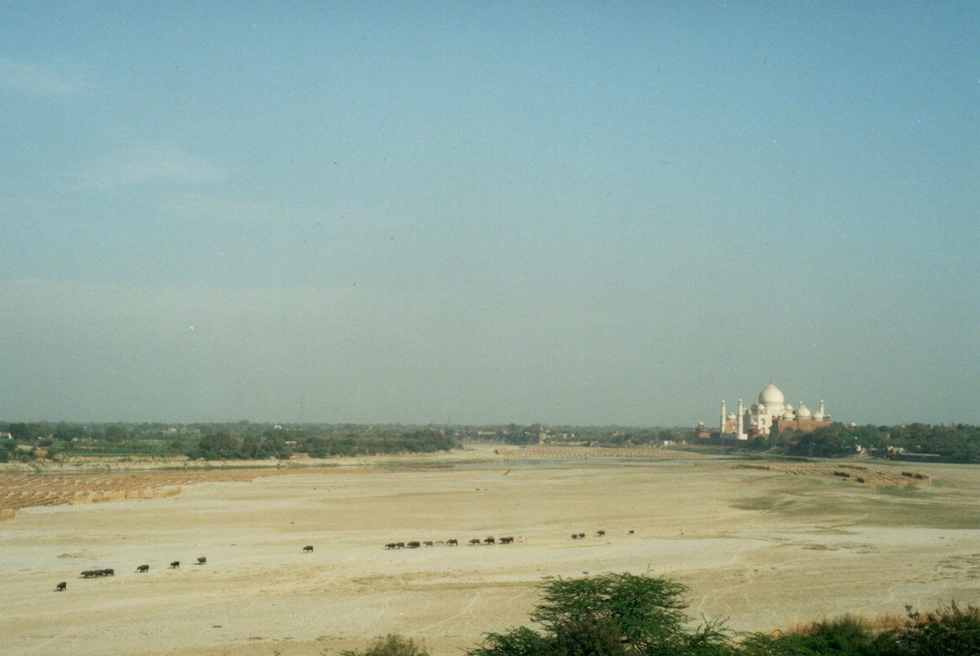 agra-viewof-taj.jpg