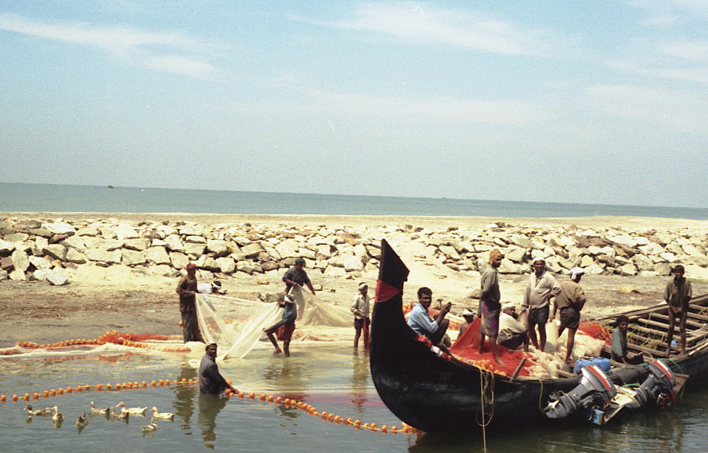 kerala-coast.jpg