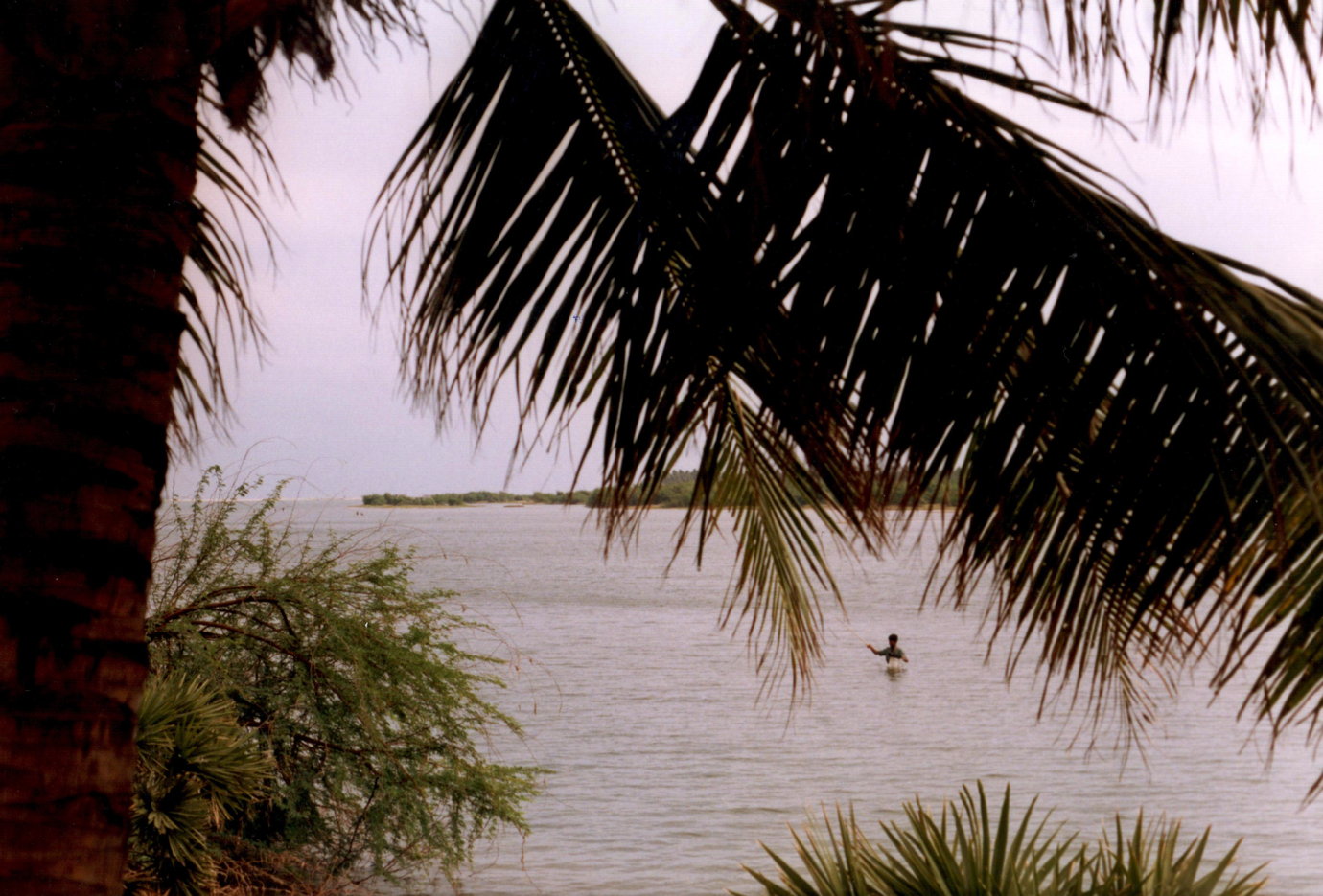 pondicherry-fisherman.jpg