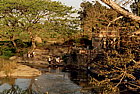 mysore-water-steps.png