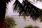 pondicherry-fisherman.png