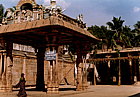 trichy-woman.png