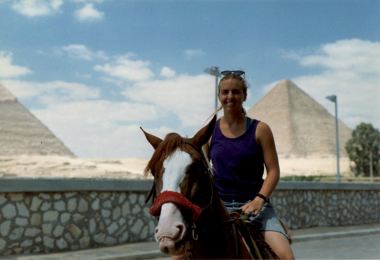 eg-pyramids-rbn-horse.jpg