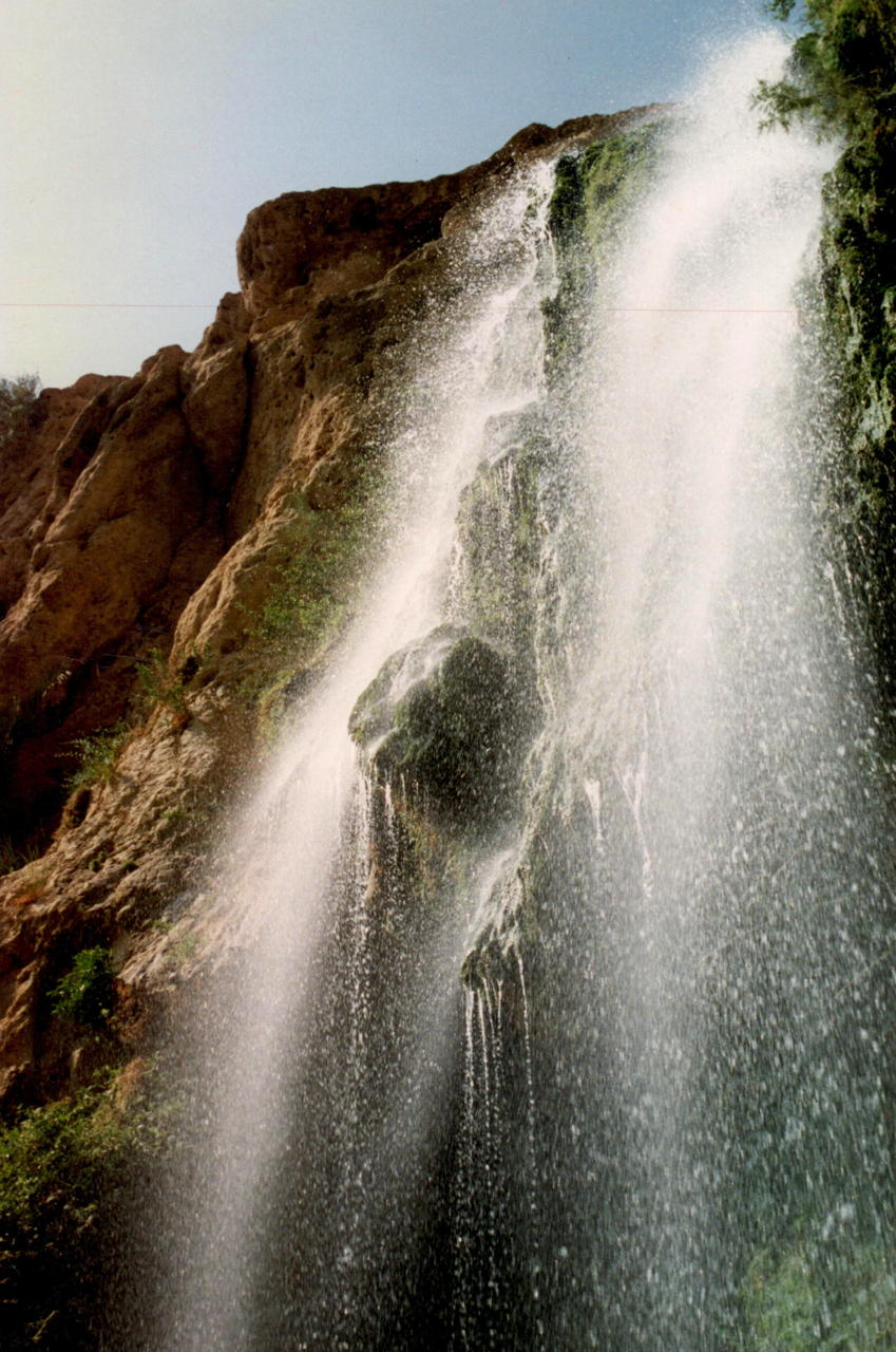 il-eingedi.jpg