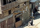 Click on thumbnail to enlarge eg-cairo-ibntulun-family.jpg