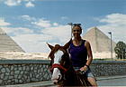 eg-pyramids-rbn-horse.jpg