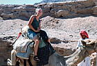 eg-sinai-rbn-camel.jpg