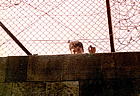 il-jerusalem-kid-fence.jpg