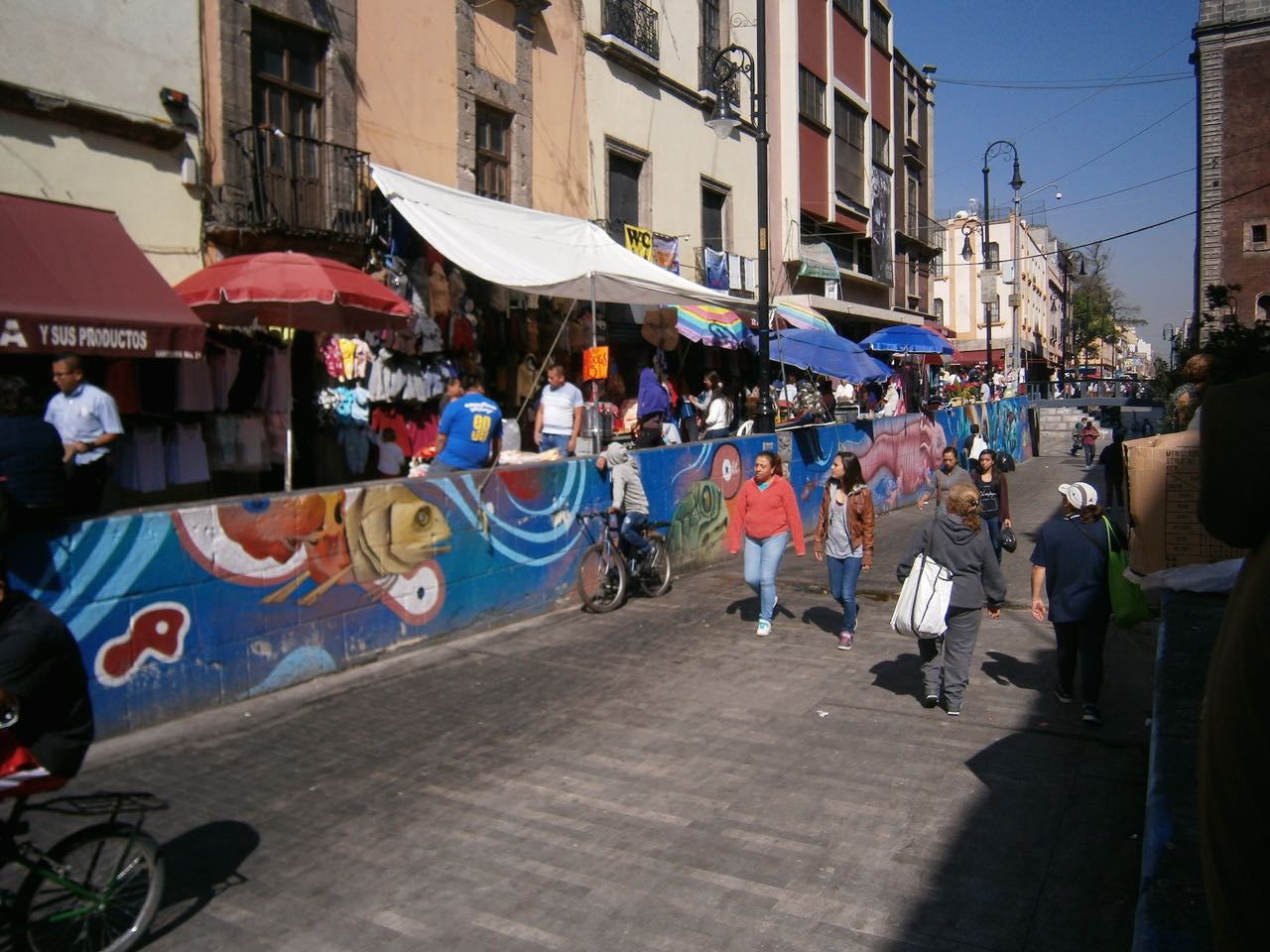 zapatista-side-pedestrian