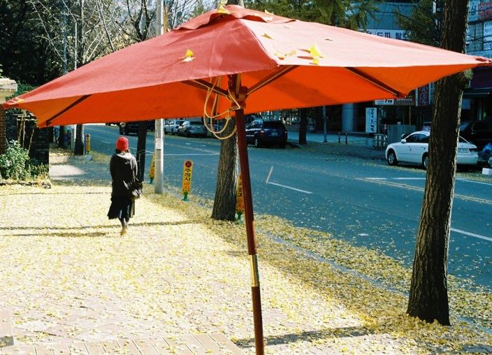 ansan-autumn