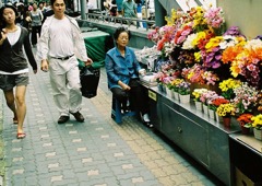 seoul-flowers