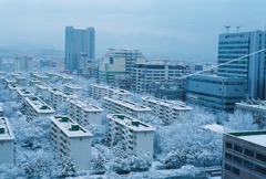 ansan-snow